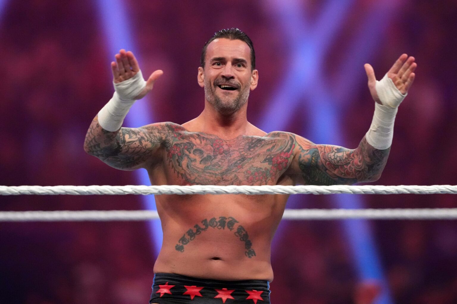 CM Punk no Royal Rumble