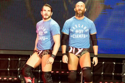 DIY na WWE