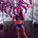 AJ Lee faz seu retorno à WWE