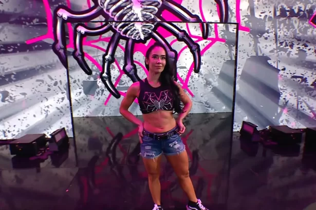 AJ Lee faz seu retorno à WWE