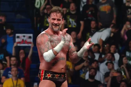 CM Punk na WWE