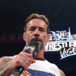 CM Punk na WWE