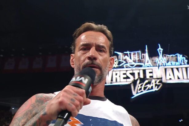 CM Punk na WWE