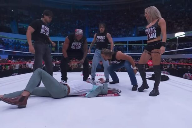 Los Perros del Mal retornam à AAA