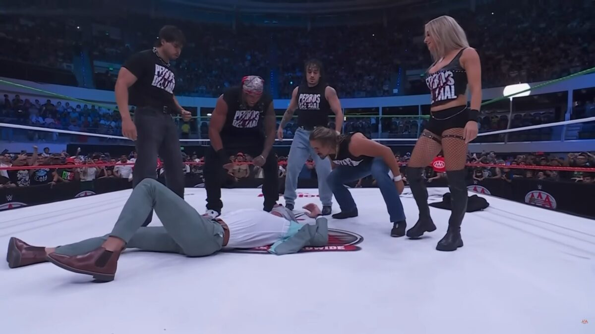 Los Perros del Mal retornam à AAA